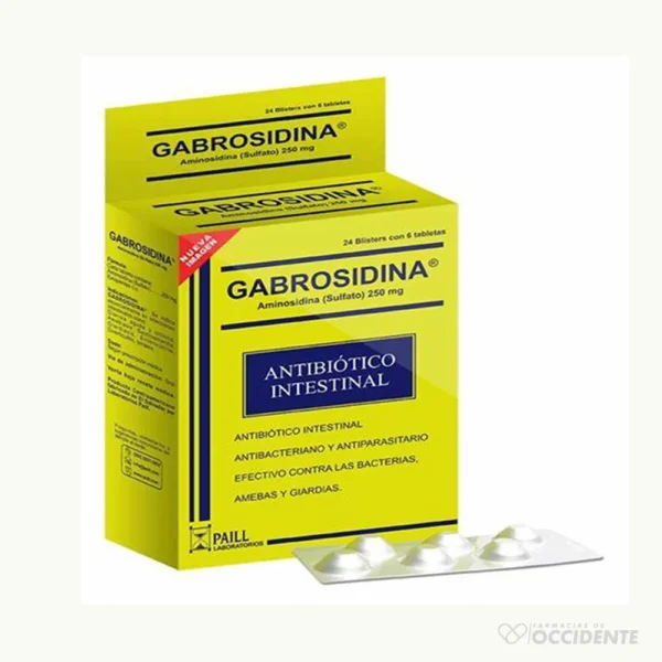 GABROSIDINA TABLETAS X 6 (CAJA DE 24 BLISTER)