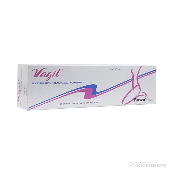 VAGIL CREMA X 90 G