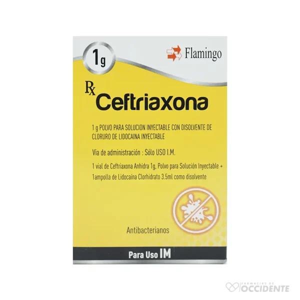 CEFTRIAXONA 1G IM KIT. FLAMINGO