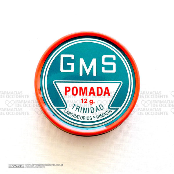 GMS POMADA 12G